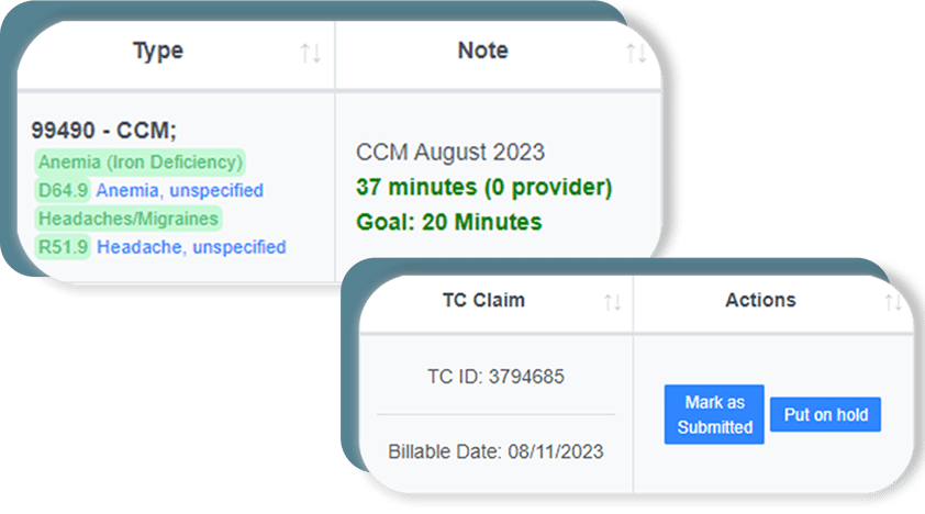 ThoroughCare's CCM Billing Software Screenshot