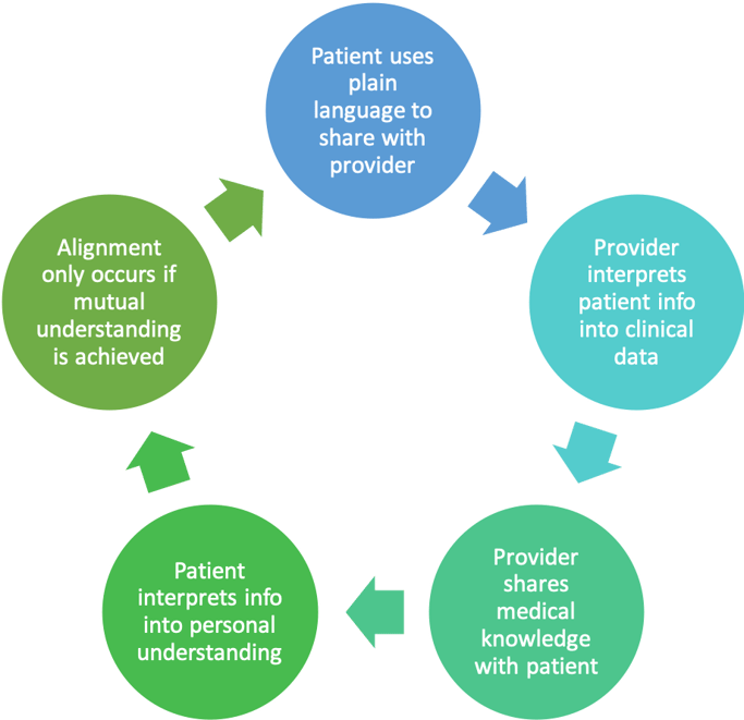 A graphic showing the cycle of patient-provider interpretation and mutual understanding.