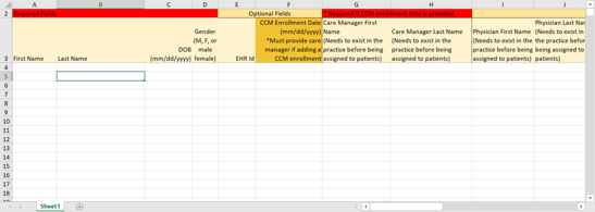 Patient Import Template