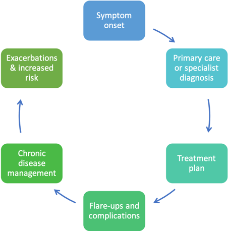 Chronic disease cycle of care.