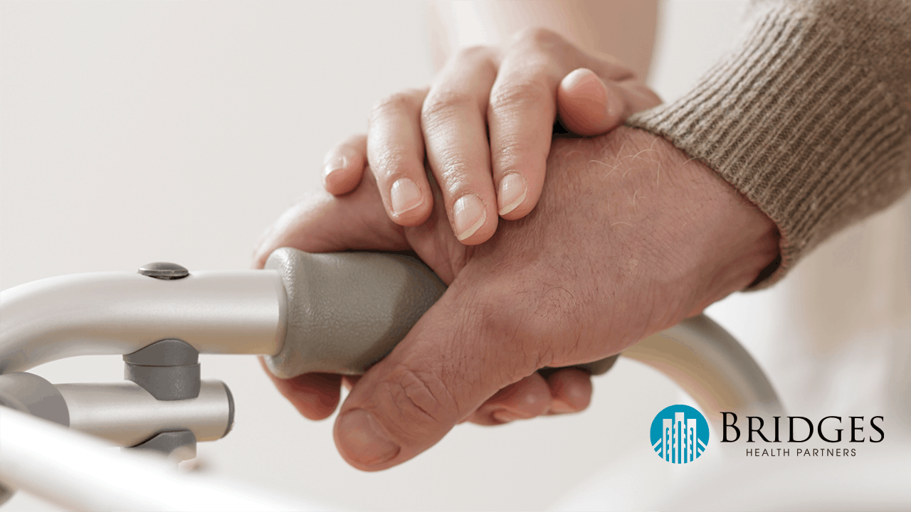 bridges case study v2